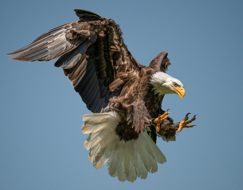 sufi_9989bb